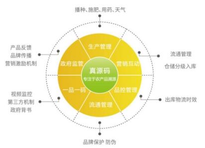 w66旗舰厅门店培训体系的基本结构设计——上